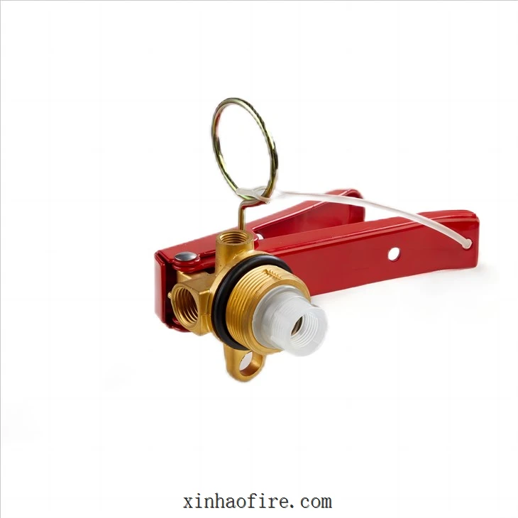 6kg Dry Chemical Extinguisher Vavle