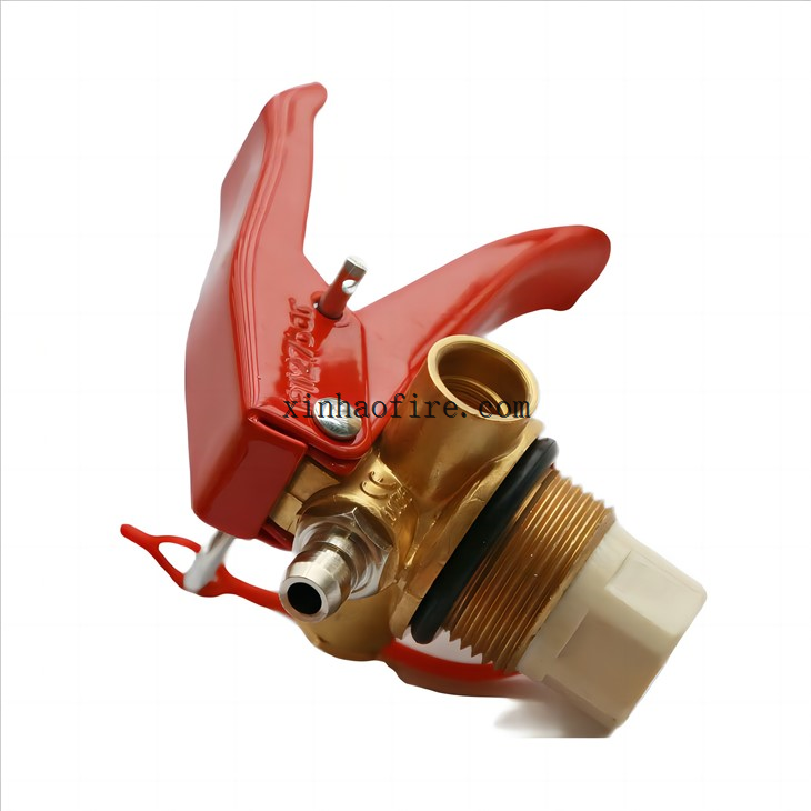 Turkish 1kg Fire Extinguisher Vavle