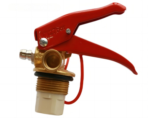 7H9A8854111 7H9A8854111