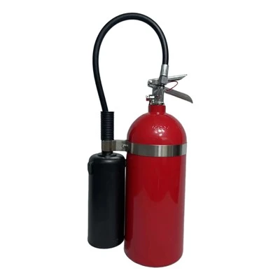 10 naela CO2 tulekustuti