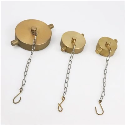 Pin Lug Cap